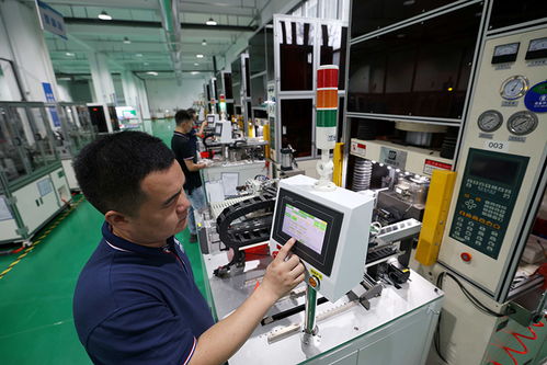 安徽合肥 培育科技型中小企業，以計算機軟硬件技術開發推動高質量發展