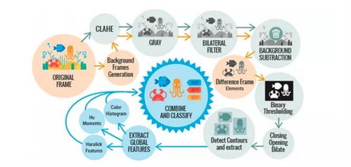 海洋生物檢測新方法 基于視覺數(shù)據(jù)自動(dòng)識別與分析技術(shù)