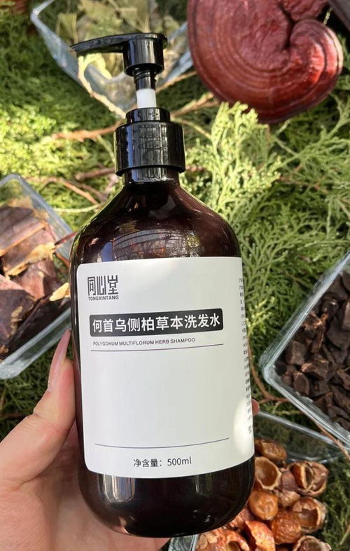 告別脫發困擾！2024平價防脫育發產品盤點，這四款值得一試